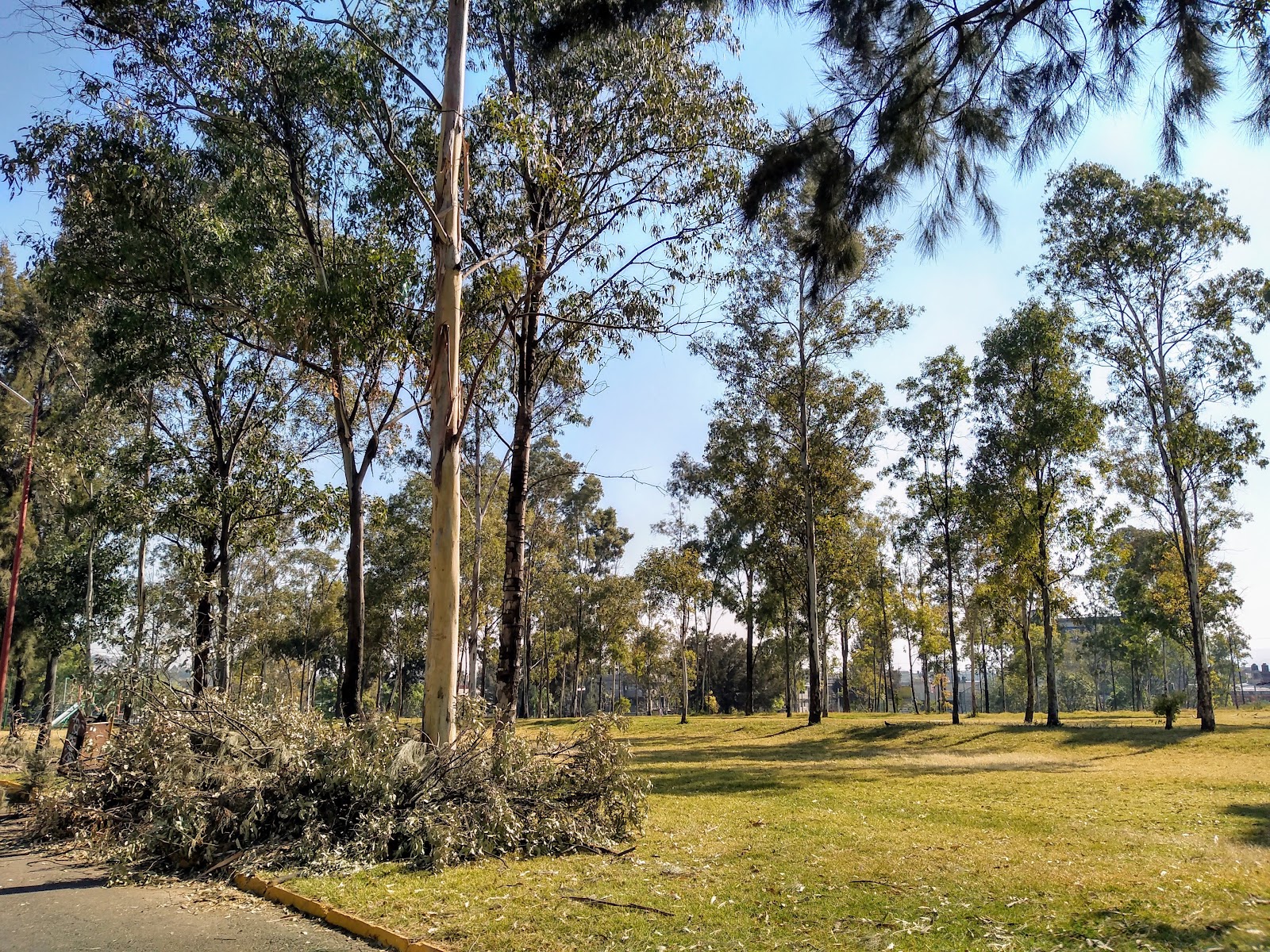 Del tiradero de Meyehualco al Parque Cuitláhuac