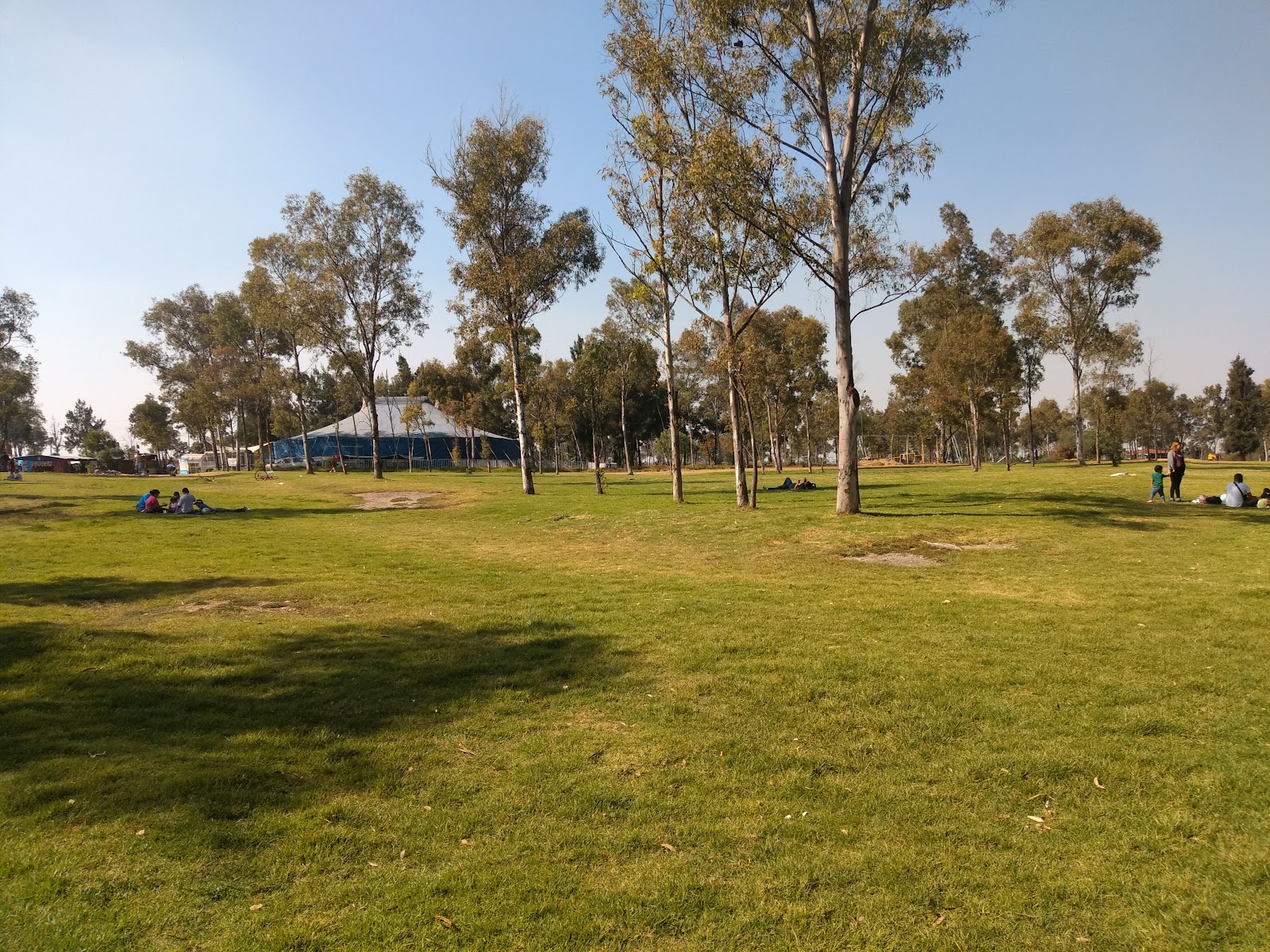 Skatepark olímpico y vida cotidiana del parque